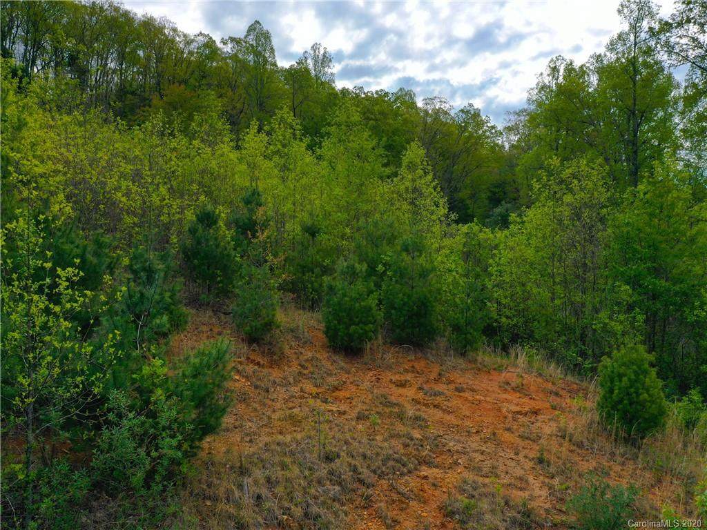 000 Greenville Highway - Photo 1