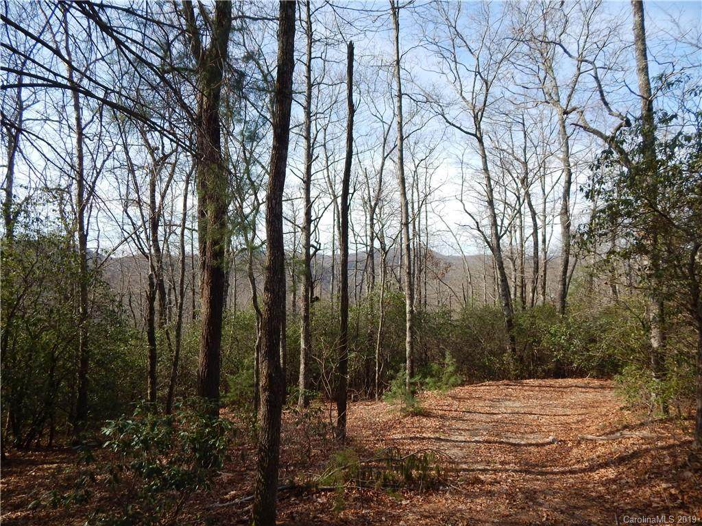 101 Laurel Thicket Lane - Photo 1