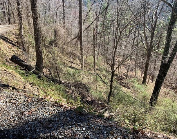 216 Vance Gap Road - Photo 1