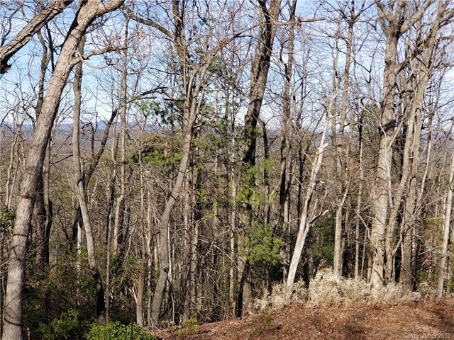 6226 Tommys Trail - Photo 1