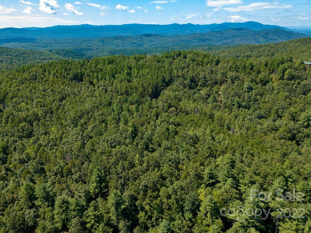 4027 Skyline Drive - Photo 1