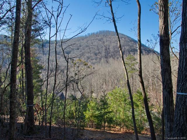 10 Piney Trace Loop - Photo 1