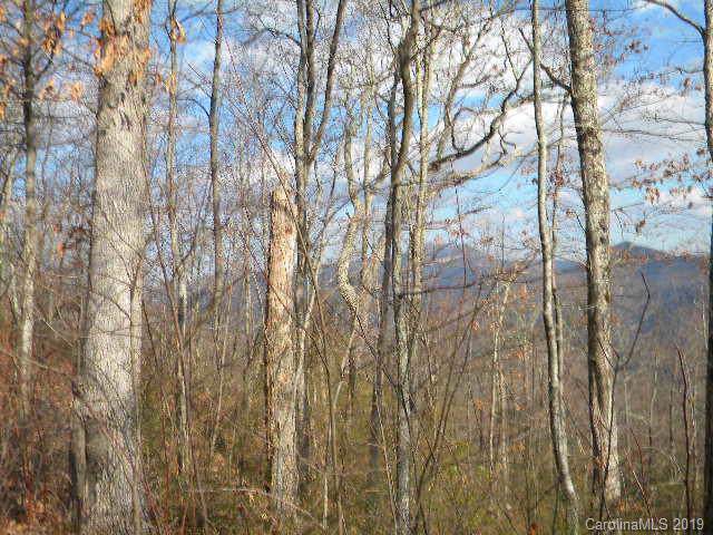 1 Plott Balsam Drive - Photo 1