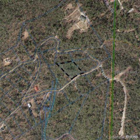 000 Dogwood Lane - Photo 1