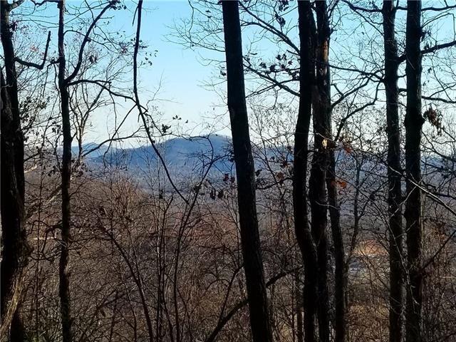 00 Mountain Crest Drive - Photo 1