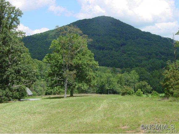 460 Walnut Valley Parkway - Photo 1