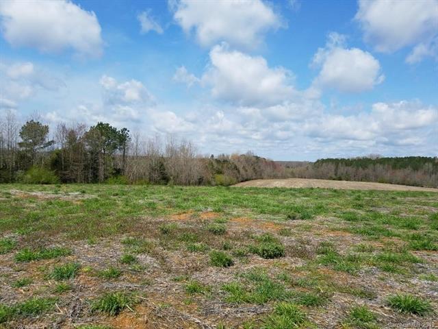 VACANT Huneycutt Mill Road - Photo 1