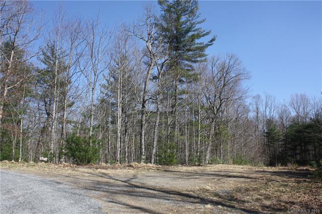 00 Forest Park Court - Photo 1