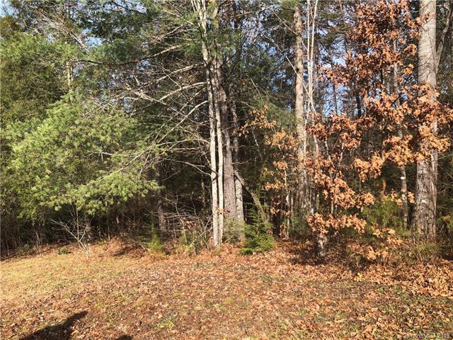 113 Flint Rock Pass - Photo 1
