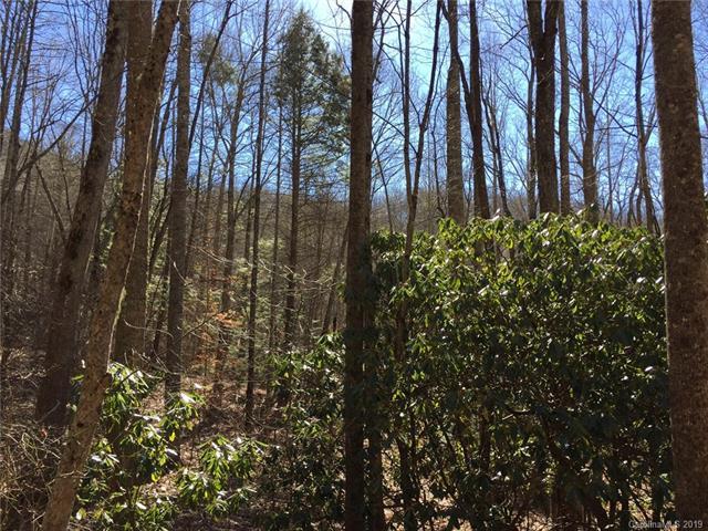 2835 Preserve Road - Photo 1