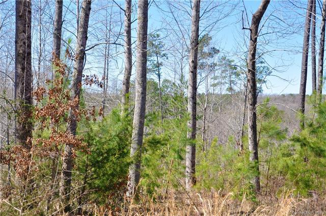 0 Countrywood Drive - Photo 1