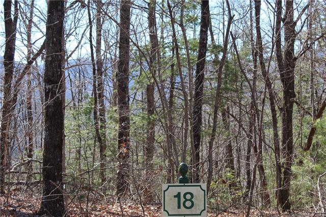 100 Brown Bear Ridge Trail - Photo 1