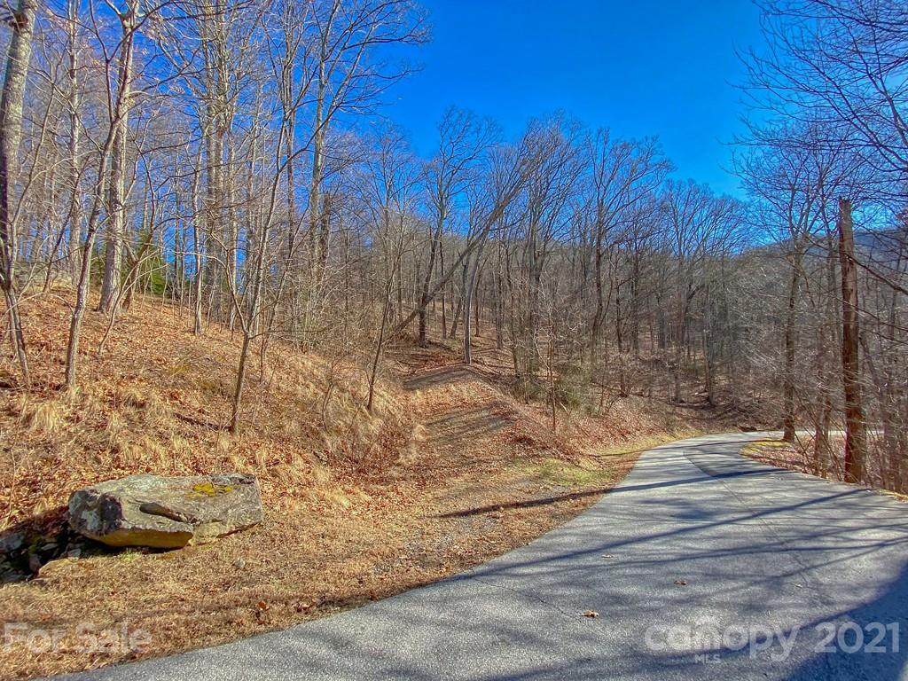 Lot 43 Weatherwatch Lane - Photo 1