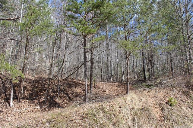 00 Burleson Gap Road - Photo 1