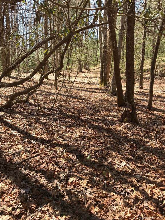 0 Steel Creek Road - Photo 1