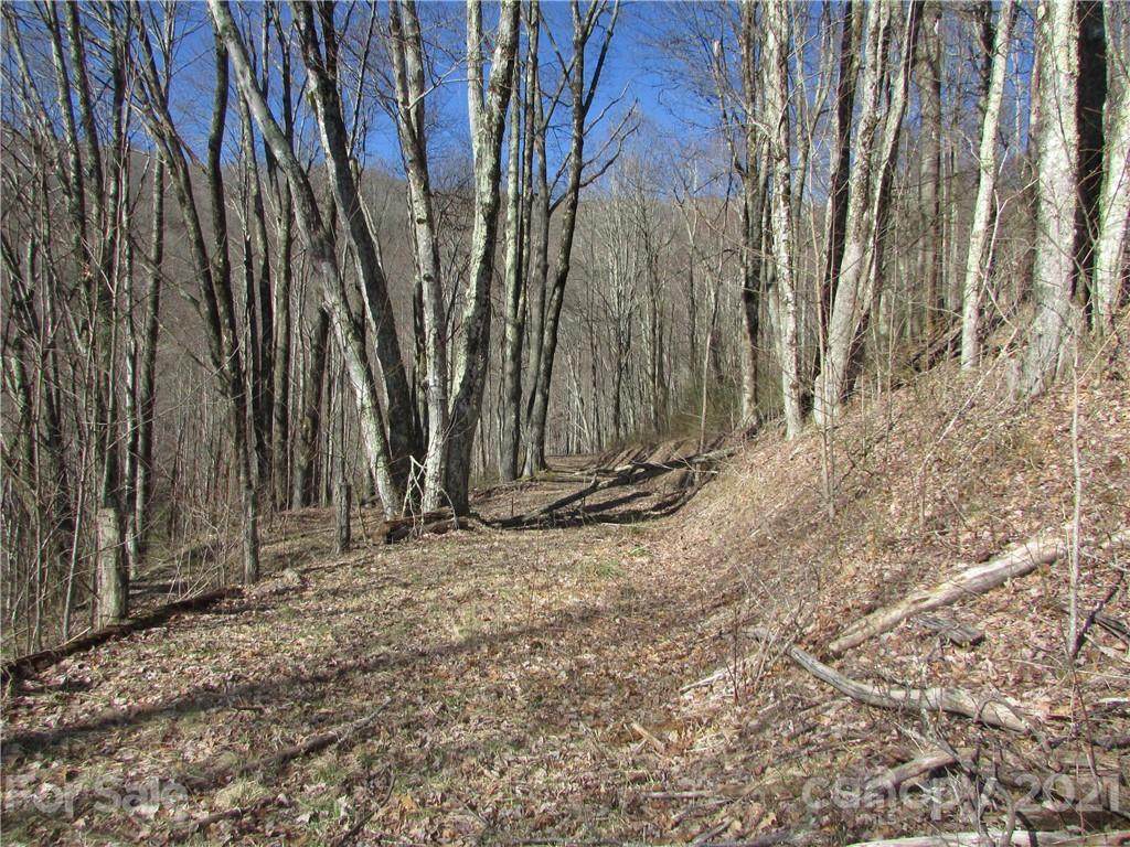 0 Running Bear Road - Photo 1