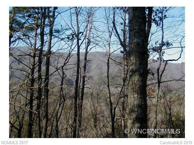 Lot 67 Treetops Lane - Photo 1