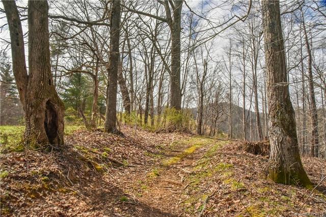 99999 Bobby Gosnell Road - Photo 1
