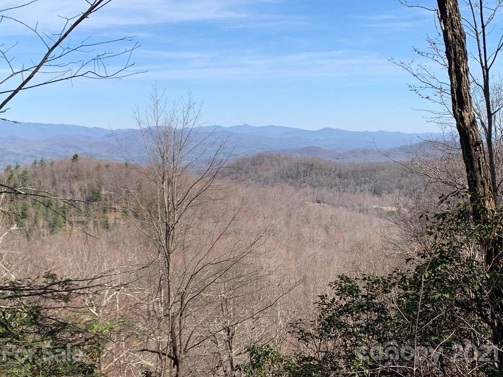 129 Whitetail Trail - Photo 1
