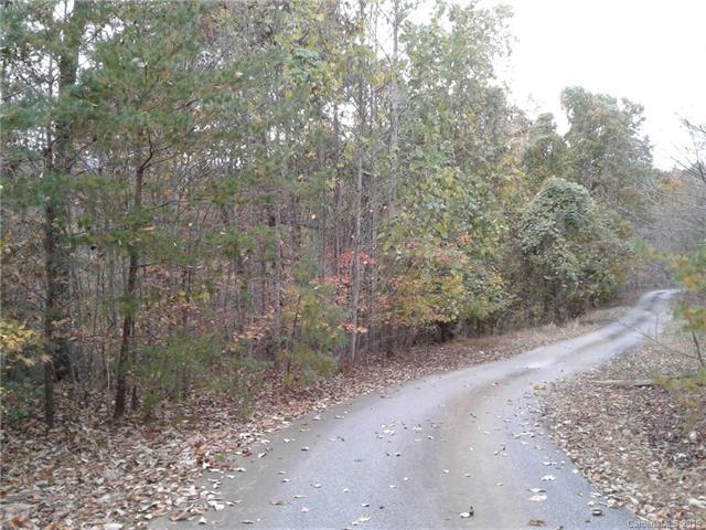 VL Yancey Ridge Lane - Photo 1
