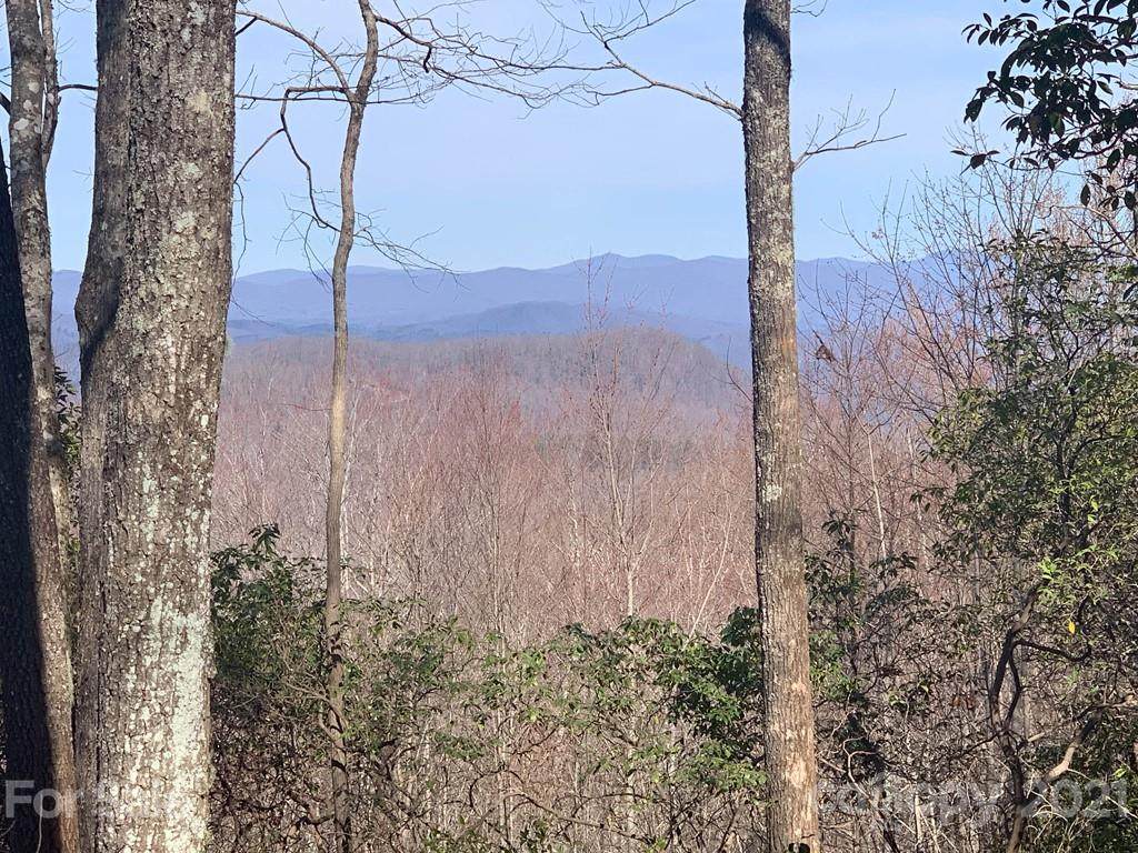 Lot 128 Whitetail Trail - Photo 1