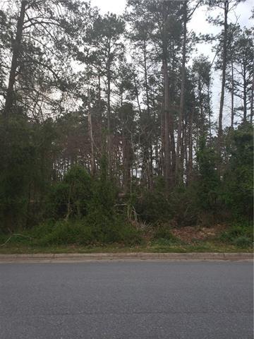 4045 Shadowood Lane - Photo 1
