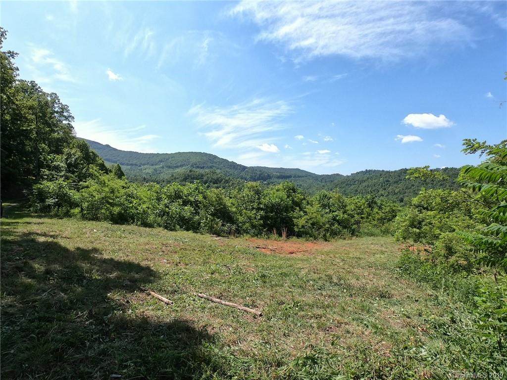 41 +/- Acres Homers Lane - Photo 1
