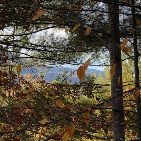 Lot #108-2 Elk's Watch - Photo 1