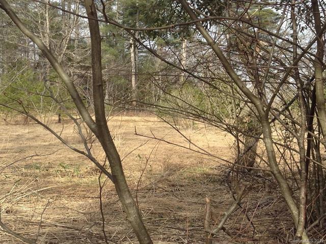 425 Nelson Valley Lane - Photo 1