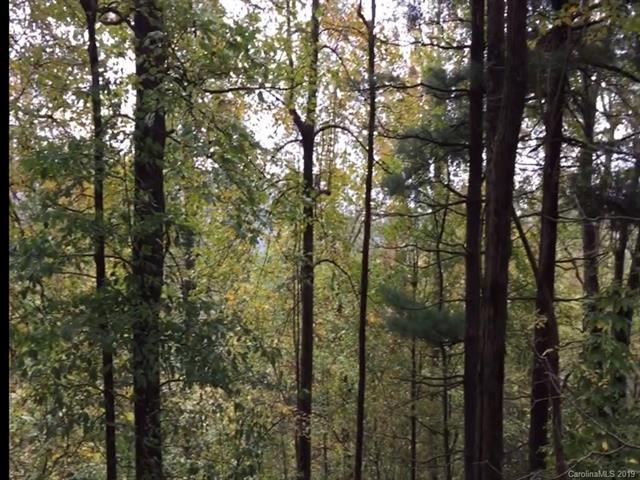 LOT 6 River Ridges Road - Photo 1