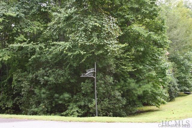 G1R Hickory Shaft Drive - Photo 1