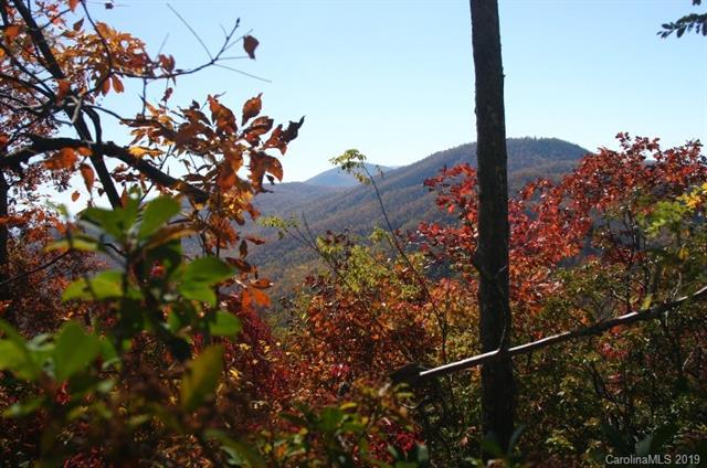 9999 High Cliffs Trail - Photo 1