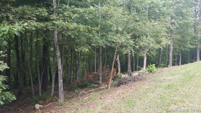 Lot#21 Little Fox Run - Photo 1