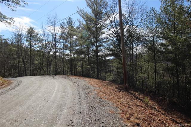 Lot#19 Deer Ridge Trail - Photo 1