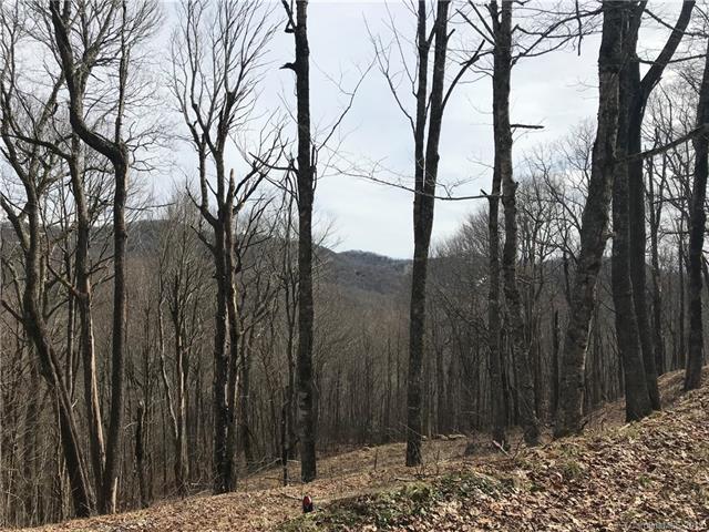 753 Hanging Rock Road - Photo 1