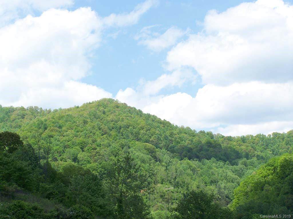 000 Smoke Vine Lane - Photo 1