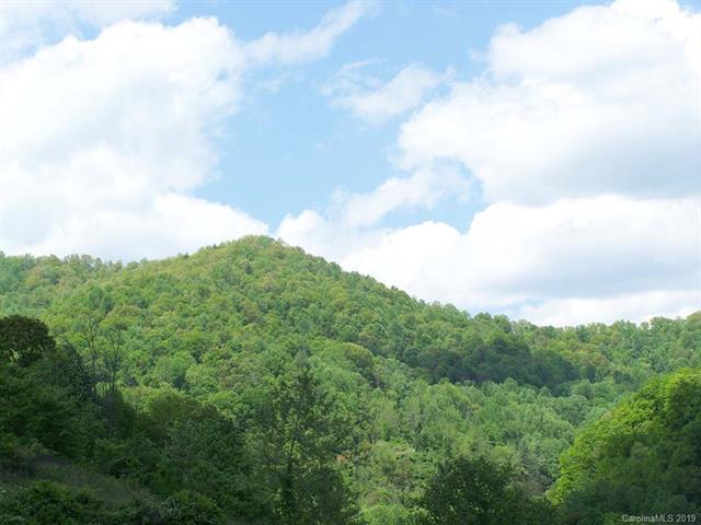 000 Smoke Vine Lane - Photo 1
