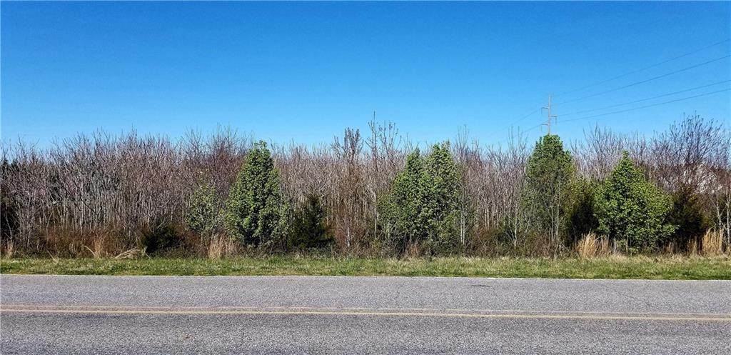 4.26 Acres on Alf Hoover Road - Photo 1