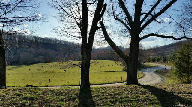 0 Linneys Mill Road - Photo 1