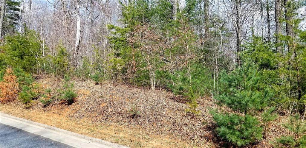 1314 Prince William Drive - Photo 1