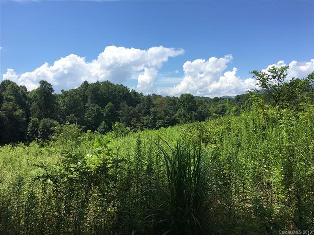 tbd Carters Ridge Road - Photo 1