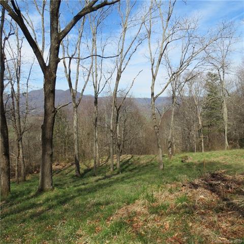 16 Butternut Trail - Photo 1