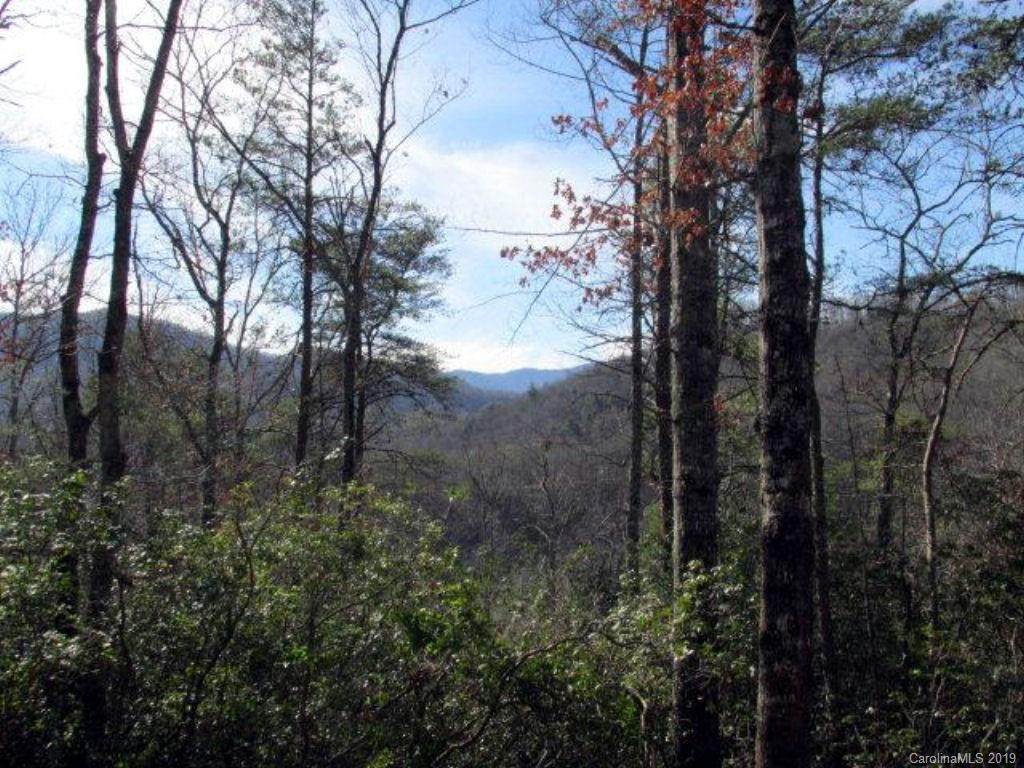 33 Wild Top Trail - Photo 1