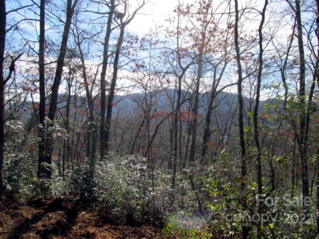 33 Tamarack Trail - Photo 1