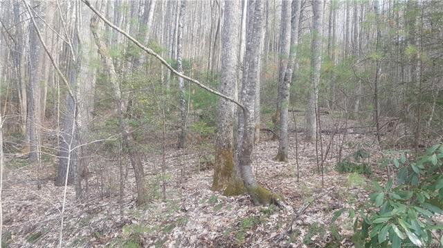 0 Dupont Road - Photo 1