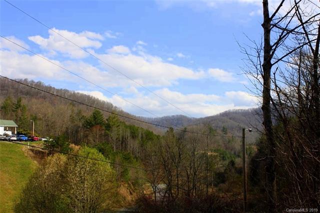 TBD Bradley Branch - Photo 1