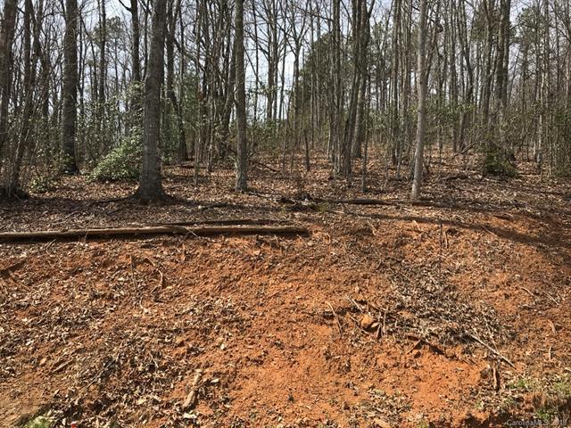 Lot 74 Quest Ridge - Photo 1
