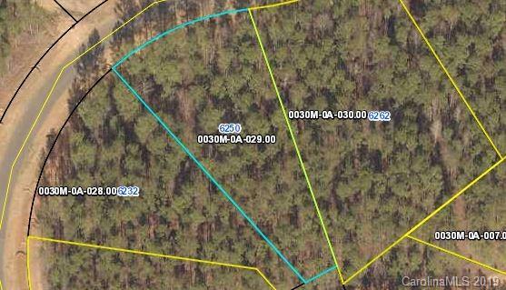 6250 Chimney Bluff Road - Photo 1