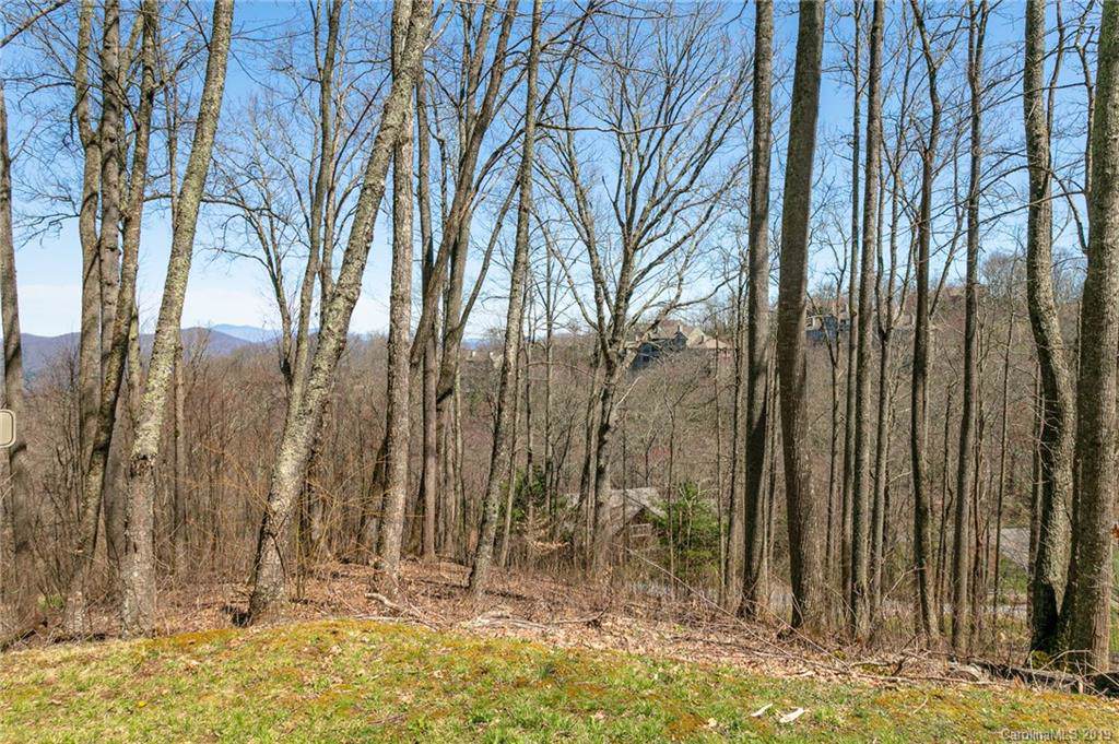 Lot 91 Apple Brandy Way - Photo 1