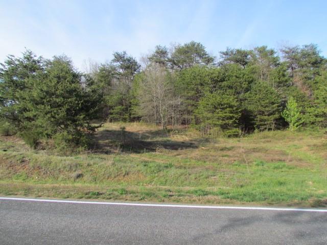 Beside 501 Corner Store Road - Photo 1